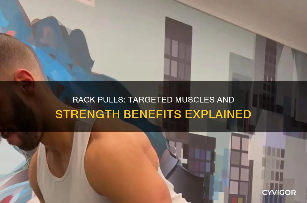 what muscles does rack pulls