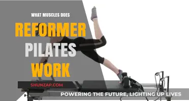 Reformer Pilates: Targeted Muscles and Full-Body Benefits Explained