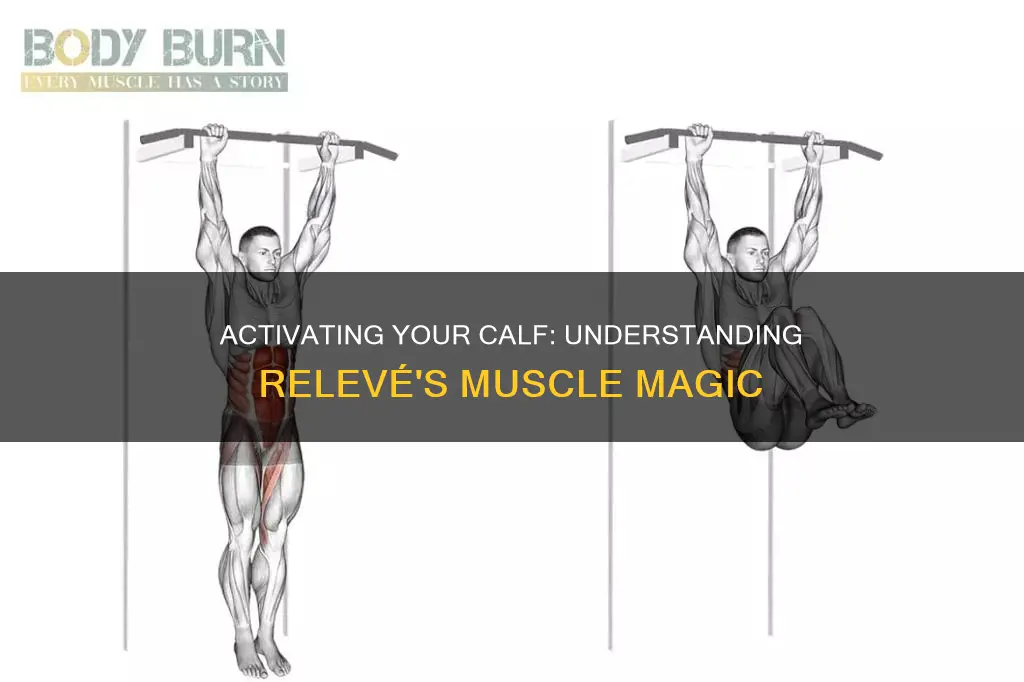 what muscles does releve activate