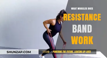 Resistance Bands: Targeting Muscles for Full-Body Strength and Tone