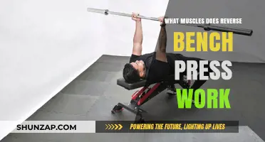 Reverse Bench Press: Target Muscles and Strength Benefits Explained