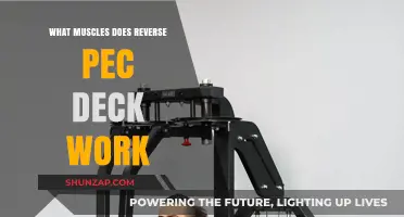 Reverse Pec Deck: Target Muscles and Benefits Explained