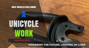 Unicycling Benefits: Core, Legs, and Balance Muscles Worked Explained