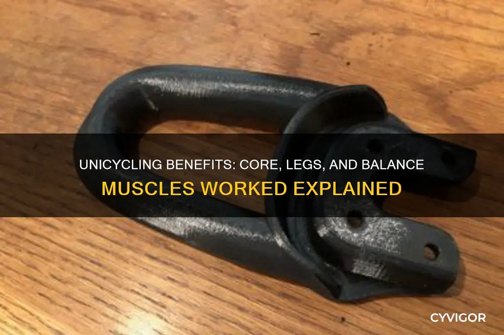 what muscles does riding a unicycle work