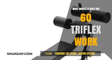 Rip 60 Triflex: Target Muscles and Full-Body Benefits Explained