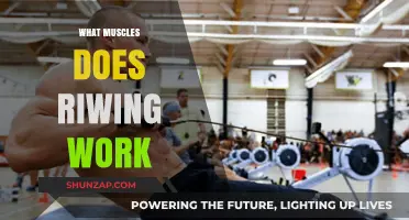 Rowing Workout Benefits: Targeted Muscles and Full-Body Engagement Explained