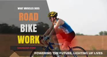 Road Biking Benefits: Targeted Muscles for Strength and Endurance