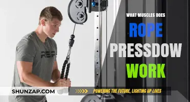 Rope Pressdown Muscles: Targeted Arm and Back Strength Training
