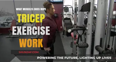 Rope Tricep Exercise: Target Muscles and Benefits Explained