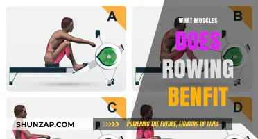 Rowing: Building a Strong, Balanced Body