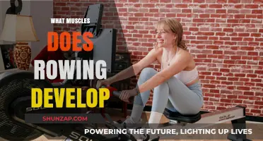 Rowing Workouts: Developing a Powerful Upper Body