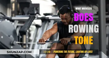 Rowing Workouts: Toning Your Body's Muscles