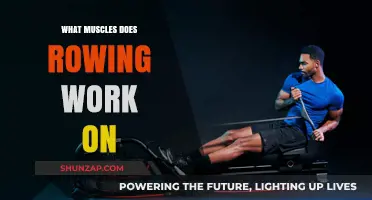 Rowing's Full-Body Benefits: Muscles Targeted and Strengthened