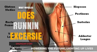 Running Workouts: Targeting Muscle Groups
