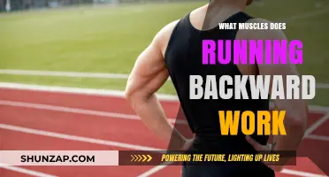 Running Backwards: Unlocking Unique Muscle Benefits and Workout Potential