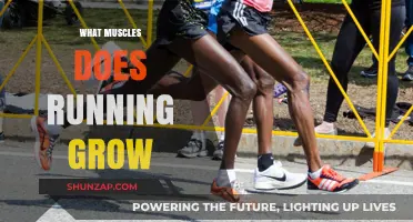 Running's Impact: Muscles Strengthened and Developed Through Every Stride