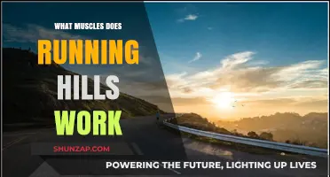 Running Hills: Target Muscles and Benefits for Stronger Performance