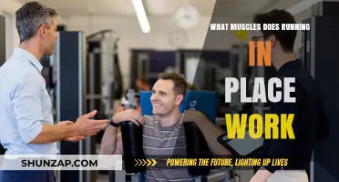 Running in Place: Targeted Muscles and Full-Body Benefits Explained