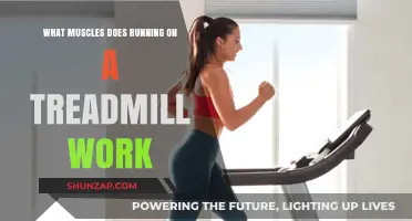 Treadmill Running: Key Muscles Engaged and Strengthened Explained