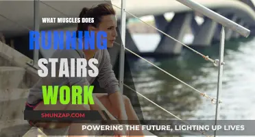 Running Stairs: Target Muscles for Lower Body Strength and Endurance