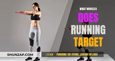 Running's Muscular Impact: Targeted Muscle Groups and Benefits