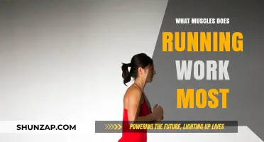 Running's Muscle Power: Key Groups Strengthened by Every Stride