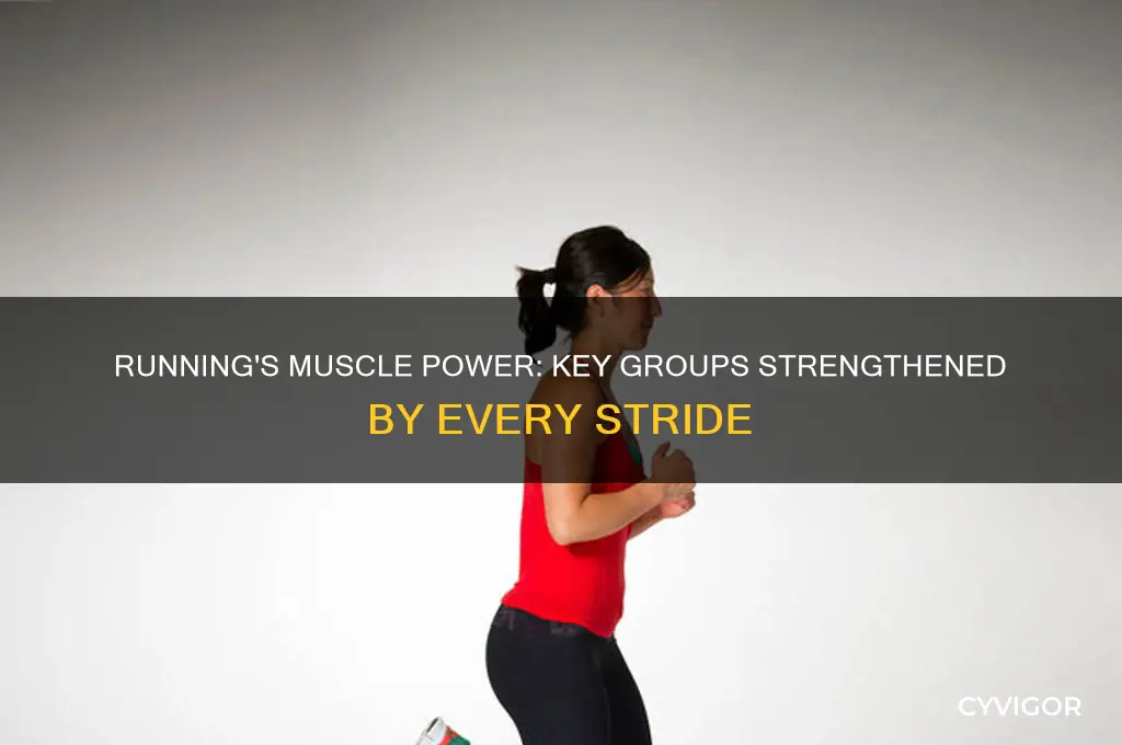 what muscles does running work most