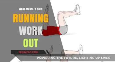 Running's Full-Body Benefits: Muscles Targeted and Strengthened Explained