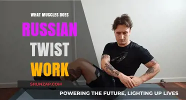 Russian Twist Muscles: Core, Obliques, and Abs Workout Explained
