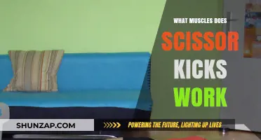 Scissor Kicks: Targeting Core, Hip, and Leg Muscles Effectively