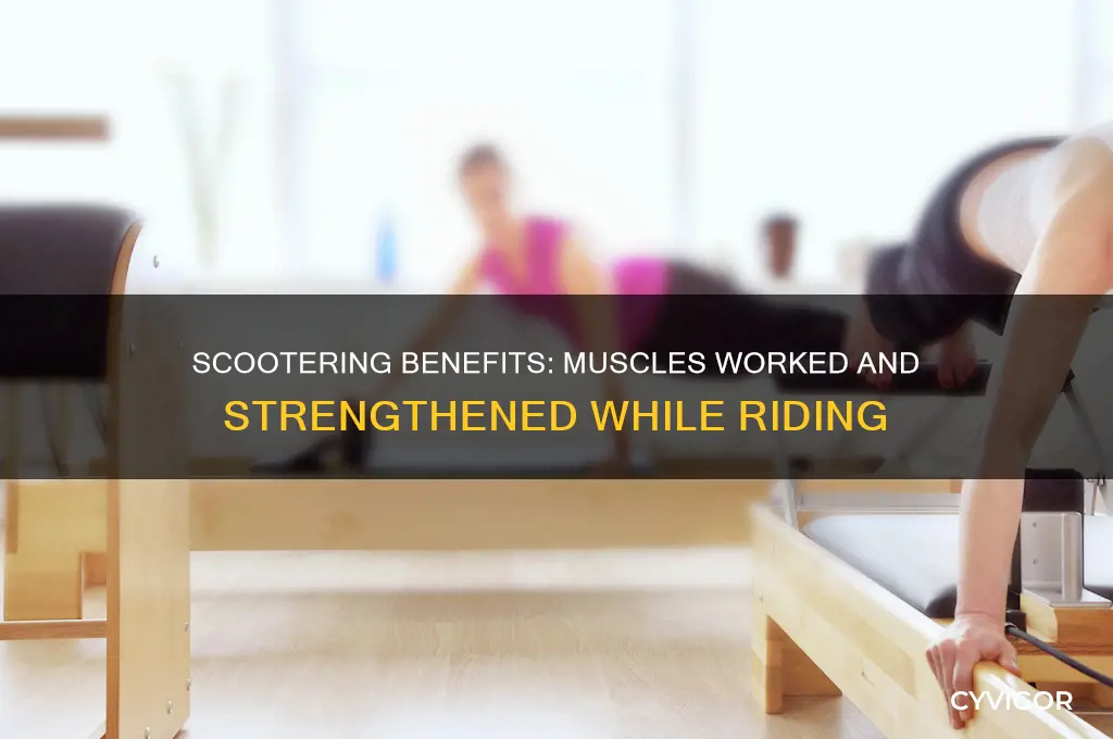 what muscles does scootering work