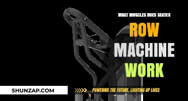Seated Row Machine: Target Muscles and Benefits Explained