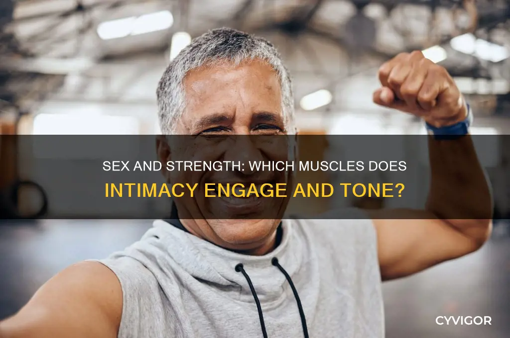 what muscles does sex work