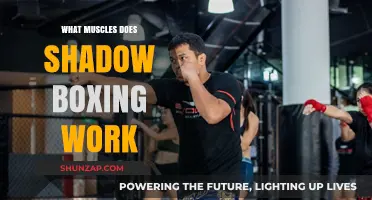 Shadow Boxing Benefits: Targeted Muscles and Full-Body Workout Explained