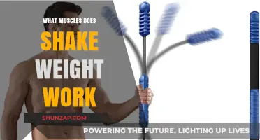 Shake Weight Workout: Targeted Muscles and Fitness Benefits Explained