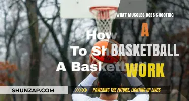 Shooting Hoops: Unveiling the Muscles Behind a Perfect Basketball Shot