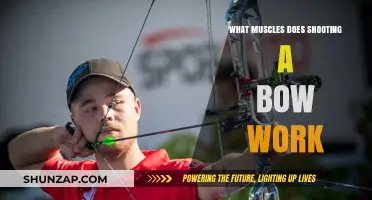 Muscles Engaged in Archery: Uncovering the Physical Demands of Shooting a Bow
