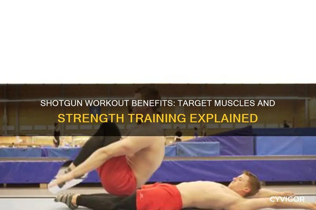 what muscles does shotguns work