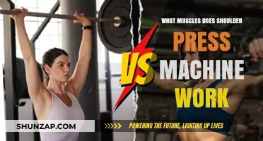 Shoulder Press Machine: Targeted Muscles and Effective Workout Benefits