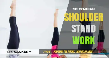Shoulder Stand Benefits: Targeted Muscles and Core Strength Explained