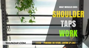 Shoulder Taps: Targeted Muscles and Core Benefits Explained