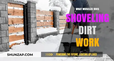 Shoveling Dirt: A Full-Body Workout Targeting Key Muscle Groups