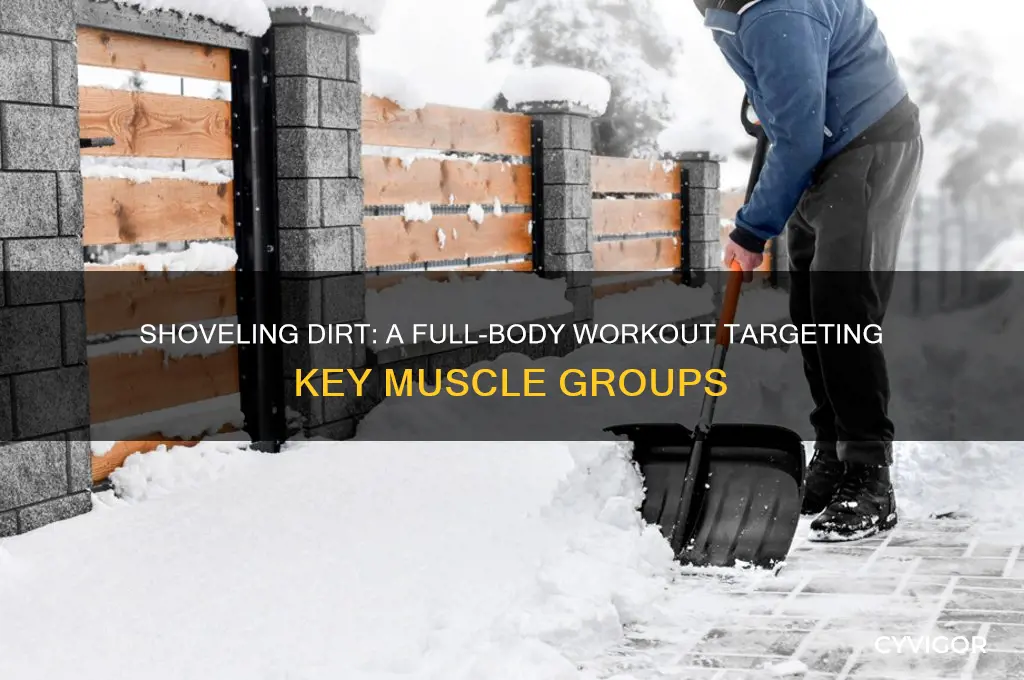 what muscles does shoveling dirt work