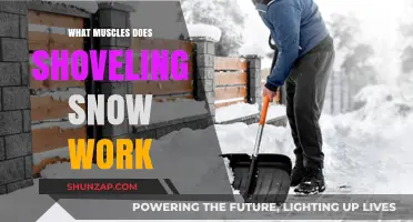 Snow Shoveling Workout: Muscles Engaged and Strengthened in Winter