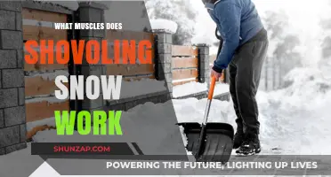 Snow Shoveling Workout: Muscles Targeted and Strengthened by Clearing Snow