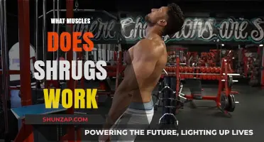 Shrugs Workout Benefits: Targeted Muscles and Strength Training Explained