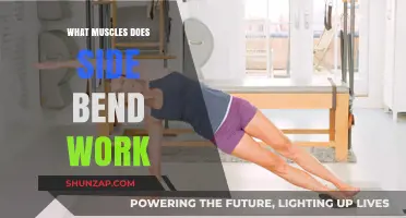 Side Bend Muscles: Targeted Core and Oblique Workout Explained