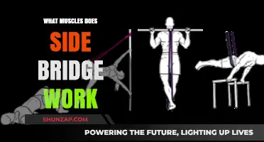 Side Bridge Benefits: Targeted Muscles and Core Strengthening Explained