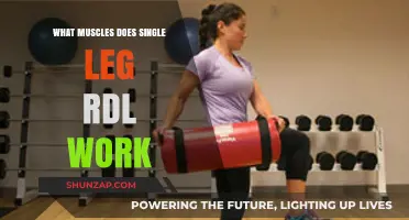 Single Leg RDL: Target Muscles and Benefits Explained