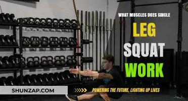 Single Leg Squat Muscles: Unlocking Lower Body Strength and Stability